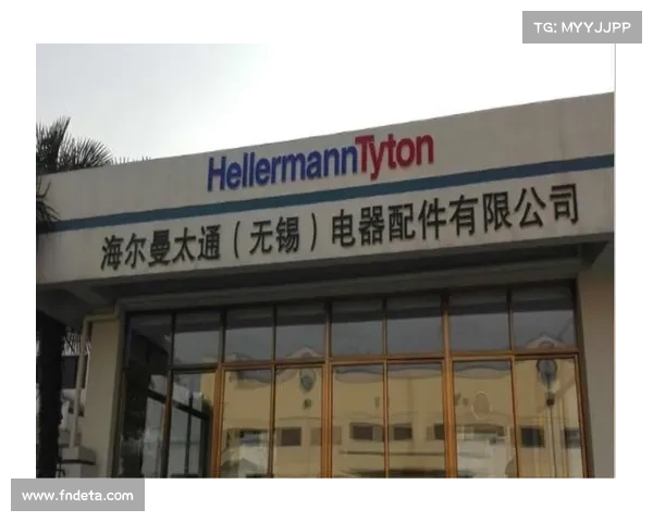 海尔曼太通为员工选手定制专项意外险 完善企业赛事保险制度保障全员安全